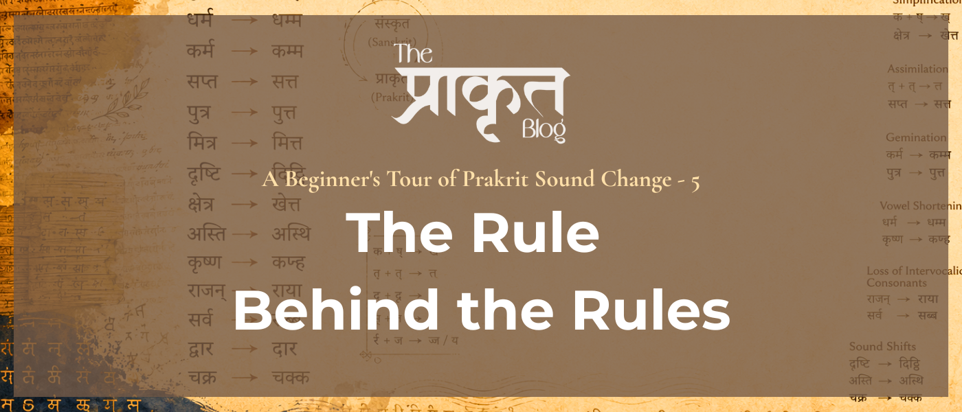 Prakrit grammar and phonology